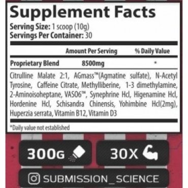 SUBMISSION SCIENCE ROCKY KO ROUND 2 300G Submission Science